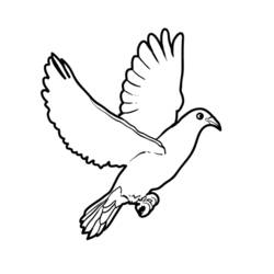 Coloring page: Dove (Animals) #4011 - Free Printable Coloring Pages