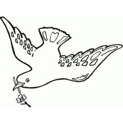 Coloring page: Dove (Animals) #4028 - Free Printable Coloring Pages