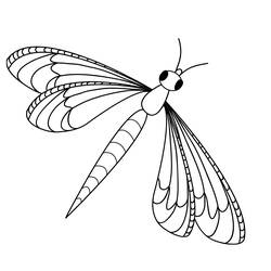 Coloring page: Dragonfly (Animals) #9885 - Free Printable Coloring Pages