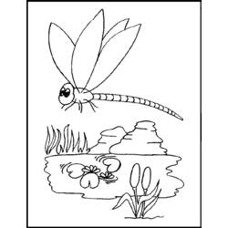 Coloring page: Dragonfly (Animals) #9890 - Free Printable Coloring Pages
