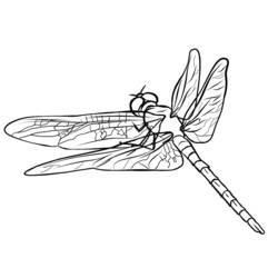 Coloring page: Dragonfly (Animals) #9908 - Free Printable Coloring Pages