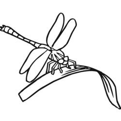 Coloring page: Dragonfly (Animals) #9909 - Free Printable Coloring Pages