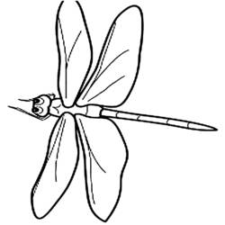 Coloring page: Dragonfly (Animals) #9915 - Free Printable Coloring Pages