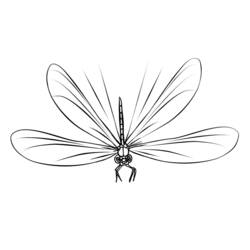 Coloring page: Dragonfly (Animals) #9931 - Free Printable Coloring Pages