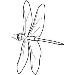 Coloring page: Dragonfly (Animals) #9964 - Free Printable Coloring Pages
