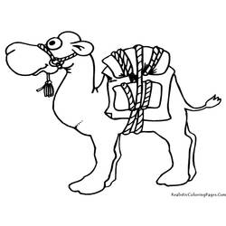 Coloring page: Dromedary (Animals) #5906 - Free Printable Coloring Pages