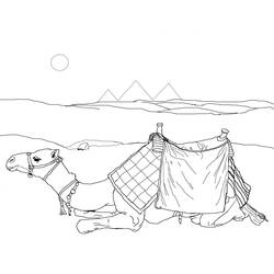 Coloring page: Dromedary (Animals) #5917 - Free Printable Coloring Pages