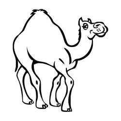 Coloring page: Dromedary (Animals) #5973 - Free Printable Coloring Pages