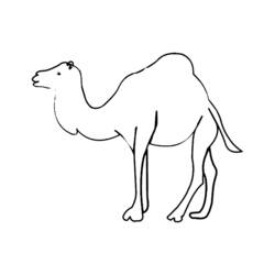 Coloring page: Dromedary (Animals) #6045 - Free Printable Coloring Pages