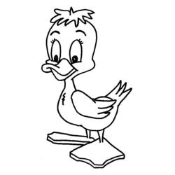 Coloring page: Duck (Animals) #1444 - Free Printable Coloring Pages