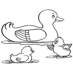 Coloring page: Duck (Animals) #1445 - Free Printable Coloring Pages