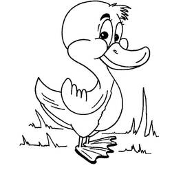 Coloring page: Duck (Animals) #1457 - Free Printable Coloring Pages