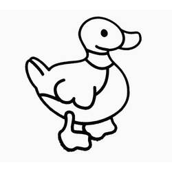 Coloring page: Duck (Animals) #1464 - Free Printable Coloring Pages