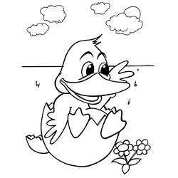 Coloring page: Duck (Animals) #1465 - Free Printable Coloring Pages
