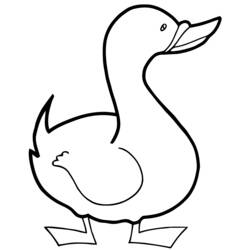 Coloring page: Duck (Animals) #1484 - Free Printable Coloring Pages