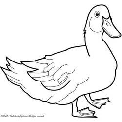 Coloring page: Duck (Animals) #1490 - Free Printable Coloring Pages