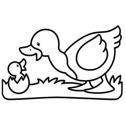 Coloring page: Duck (Animals) #1516 - Free Printable Coloring Pages