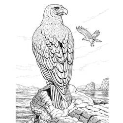 Coloring page: Eagle (Animals) #277 - Free Printable Coloring Pages