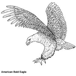 Coloring page: Eagle (Animals) #285 - Free Printable Coloring Pages