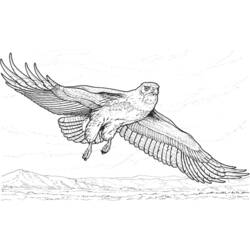 Coloring page: Eagle (Animals) #287 - Free Printable Coloring Pages