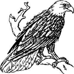 Coloring page: Eagle (Animals) #292 - Free Printable Coloring Pages