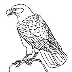Coloring page: Eagle (Animals) #302 - Free Printable Coloring Pages