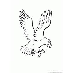 Coloring page: Eagle (Animals) #303 - Free Printable Coloring Pages