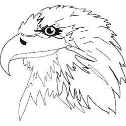 Coloring page: Eagle (Animals) #341 - Free Printable Coloring Pages