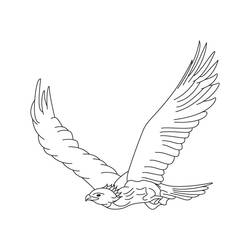 Coloring page: Eagle (Animals) #353 - Free Printable Coloring Pages