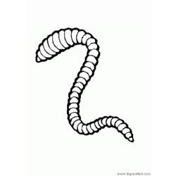 Coloring page: Earthworm (Animals) #18787 - Free Printable Coloring Pages