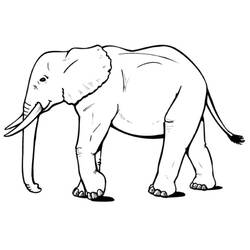 Coloring page: Elephant (Animals) #6310 - Free Printable Coloring Pages