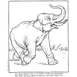 Coloring page: Elephant (Animals) #6418 - Free Printable Coloring Pages
