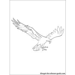 Coloring page: Falcon (Animals) #6851 - Free Printable Coloring Pages