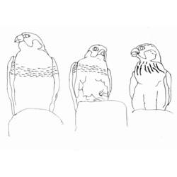 Coloring page: Falcon (Animals) #6852 - Free Printable Coloring Pages
