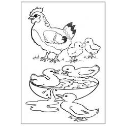 Coloring page: Farm Animals (Animals) #21440 - Free Printable Coloring Pages