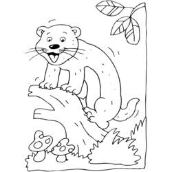 Coloring page: Ferret (Animals) #7128 - Free Printable Coloring Pages