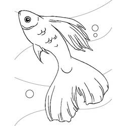 Coloring page: Fish (Animals) #17043 - Free Printable Coloring Pages