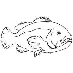 Coloring page: Fish (Animals) #17124 - Free Printable Coloring Pages