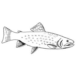 Coloring page: Fish (Animals) #17136 - Free Printable Coloring Pages