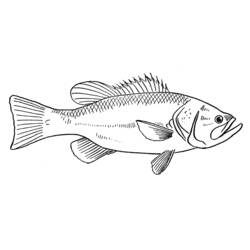Coloring page: Fish (Animals) #17170 - Free Printable Coloring Pages