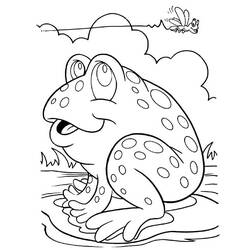 Coloring page: Fly (Animals) #11108 - Free Printable Coloring Pages