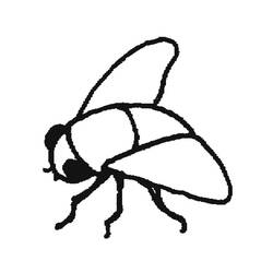 Coloring page: Fly (Animals) #11124 - Free Printable Coloring Pages