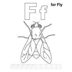 Coloring page: Fly (Animals) #11129 - Free Printable Coloring Pages