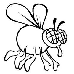 Coloring page: Fly (Animals) #11145 - Free Printable Coloring Pages