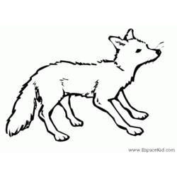 Coloring page: Fox (Animals) #14963 - Free Printable Coloring Pages