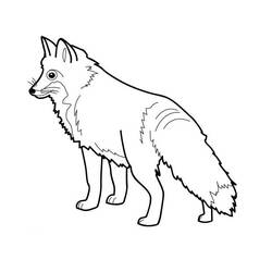 Coloring page: Fox (Animals) #14967 - Free Printable Coloring Pages