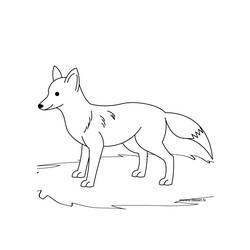 Coloring page: Fox (Animals) #14970 - Free Printable Coloring Pages