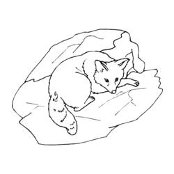Coloring page: Fox (Animals) #15019 - Free Printable Coloring Pages