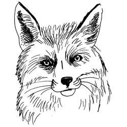 Coloring page: Fox (Animals) #15044 - Free Printable Coloring Pages