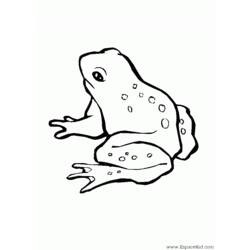 Coloring page: Frog (Animals) #7592 - Free Printable Coloring Pages